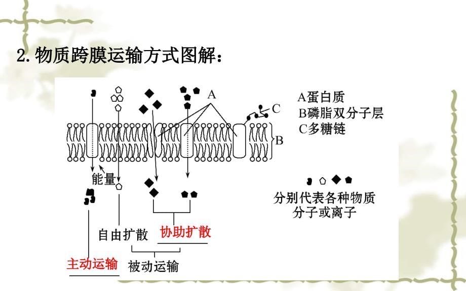 2017版高考生物一轮复习 第4章 细胞的物质输入和输出 第3节 物质跨膜运输的方式课件 新人教版必修1_第5页