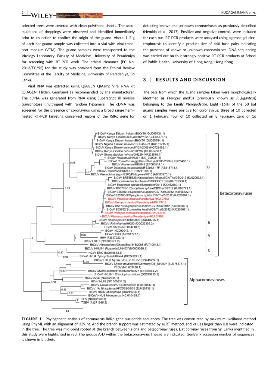 2018 Coronaviruses in guano from__i_Pteropus medius__i__bats in Peradeniya, Sri Lanka_第2页