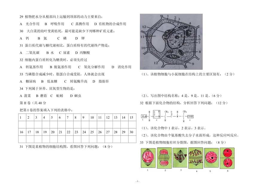 志成学校高一生物期末测验考试题_第3页