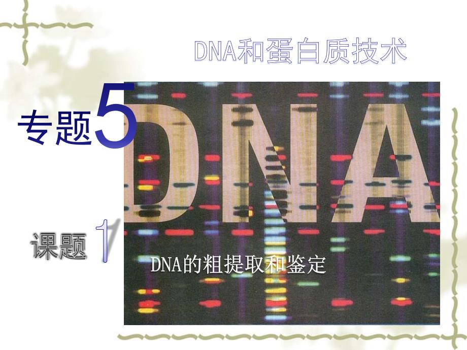 2012河北地区高中生物备课资料 5.1《DNA的粗提取与鉴定》课件 新人教版选修1_第1页