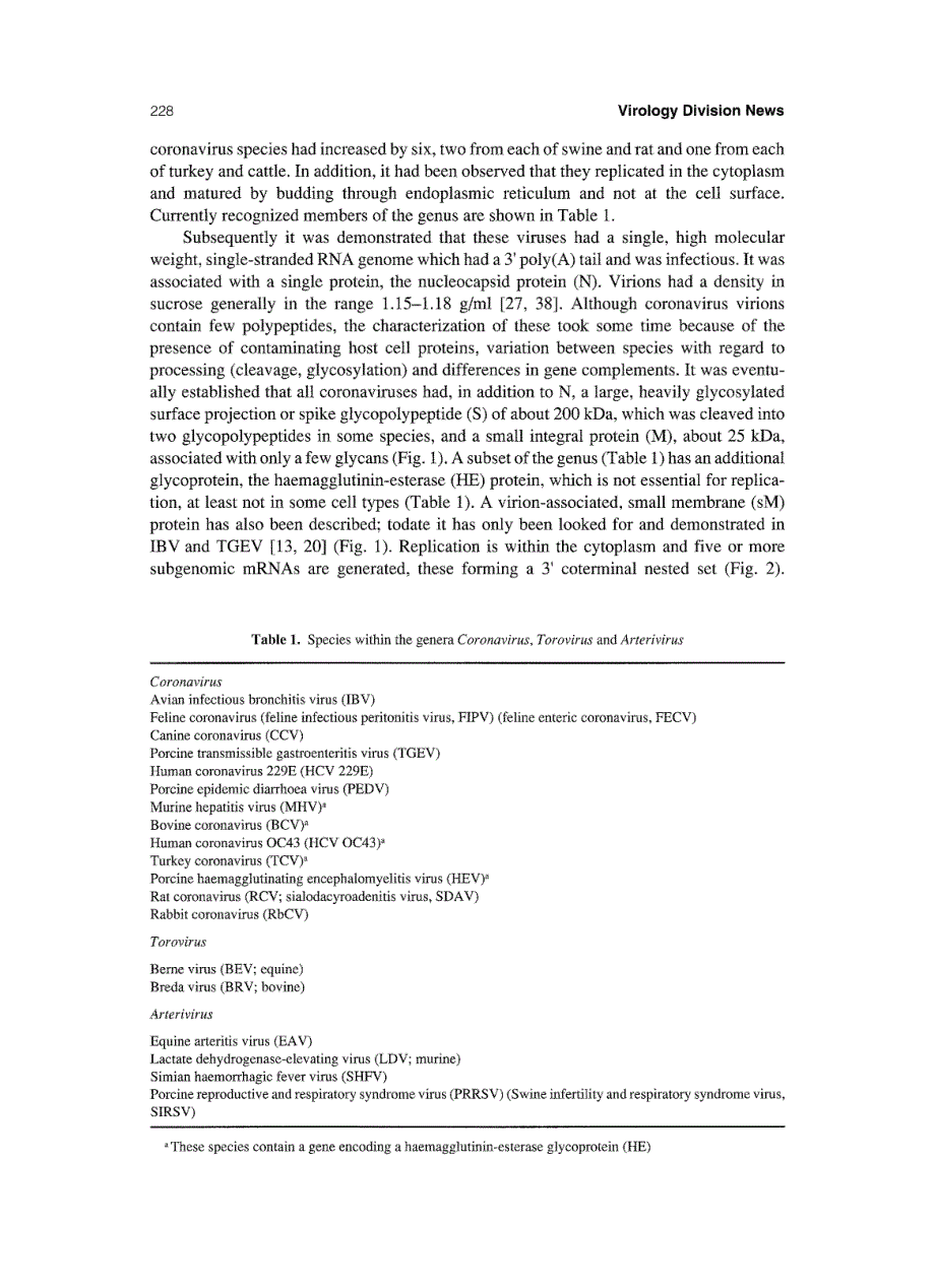 1994 Revision of the taxonomy of theCoronavirus, TorovirusandArterivirusgenera_第2页