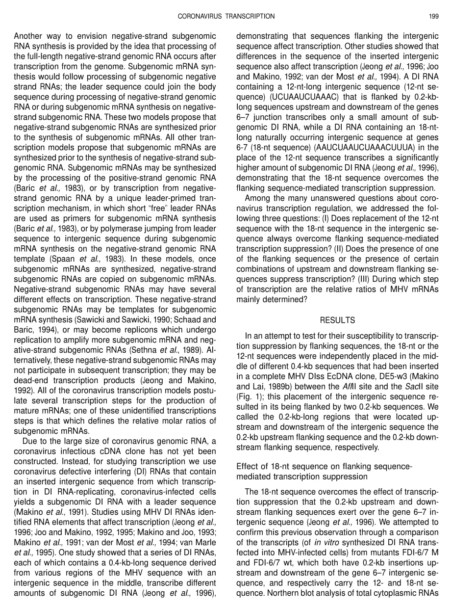 1998 Characterizations of Coronaviruscis-Acting RNA Elements and the Transcription Step Affecting Its Transcription Effi_第2页
