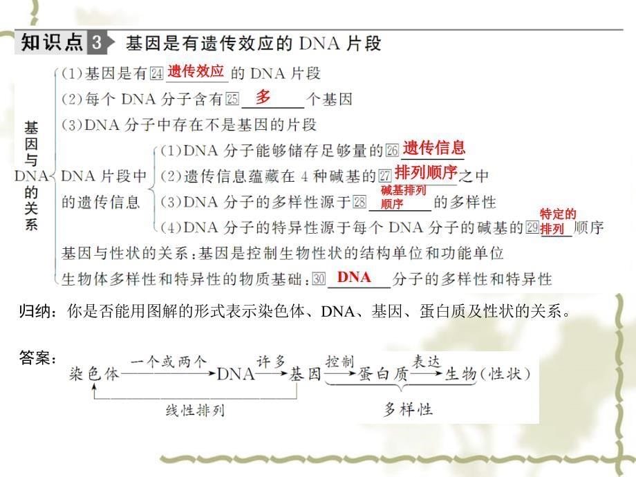 2012届高考生物单元综合提升复习课件6_第5页