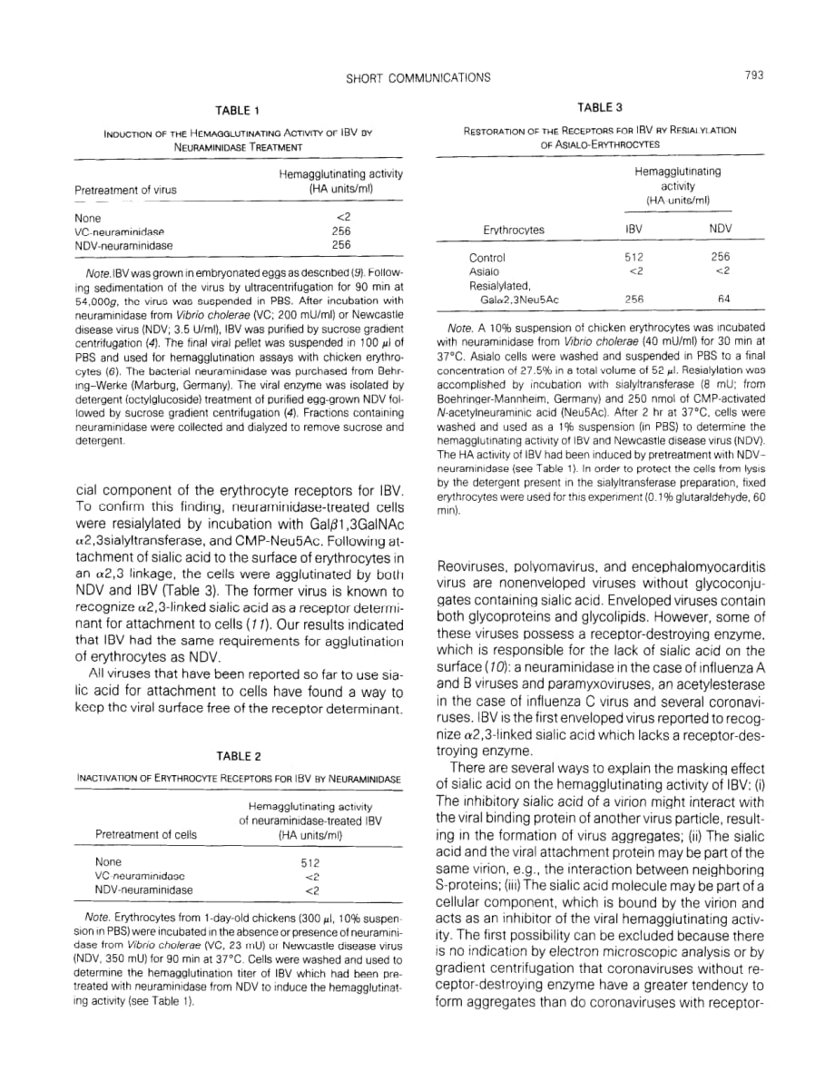 1992 Neuraminidase treatment of avian infectious bronchitis coronavirus reveals a hemagglutinating activity that is depe_第2页