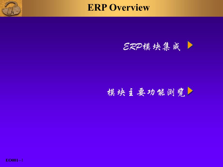 ERP整体功能概览精编版_第1页