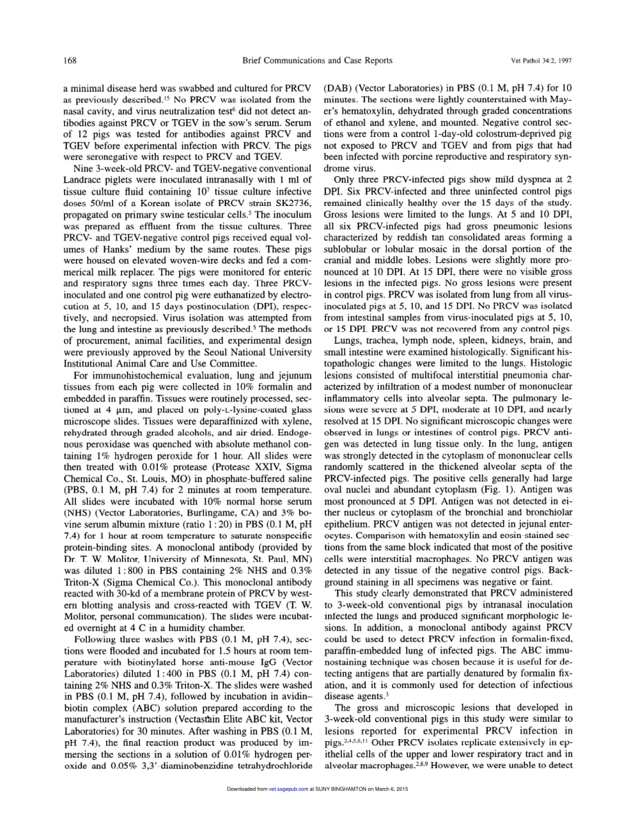 1997 Immunohistochemical Identification of Porcine Respiratory Coronavirus Antigen in the Lung of Conventional Pigs_第2页