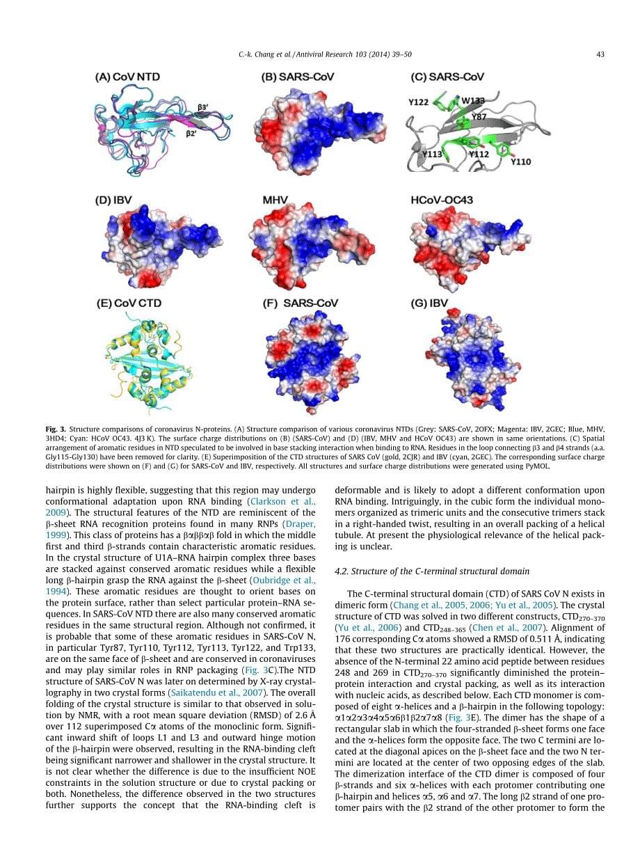 2014 The SARS coronavirus nucleocapsid protein _ Forms and functions_第5页