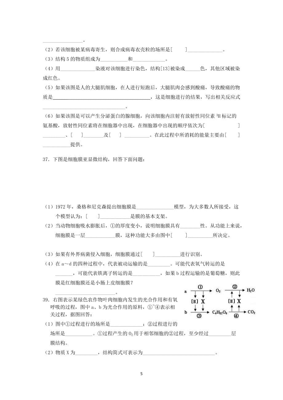 山东德州一中学高一生物下学期期末模拟考试_第5页