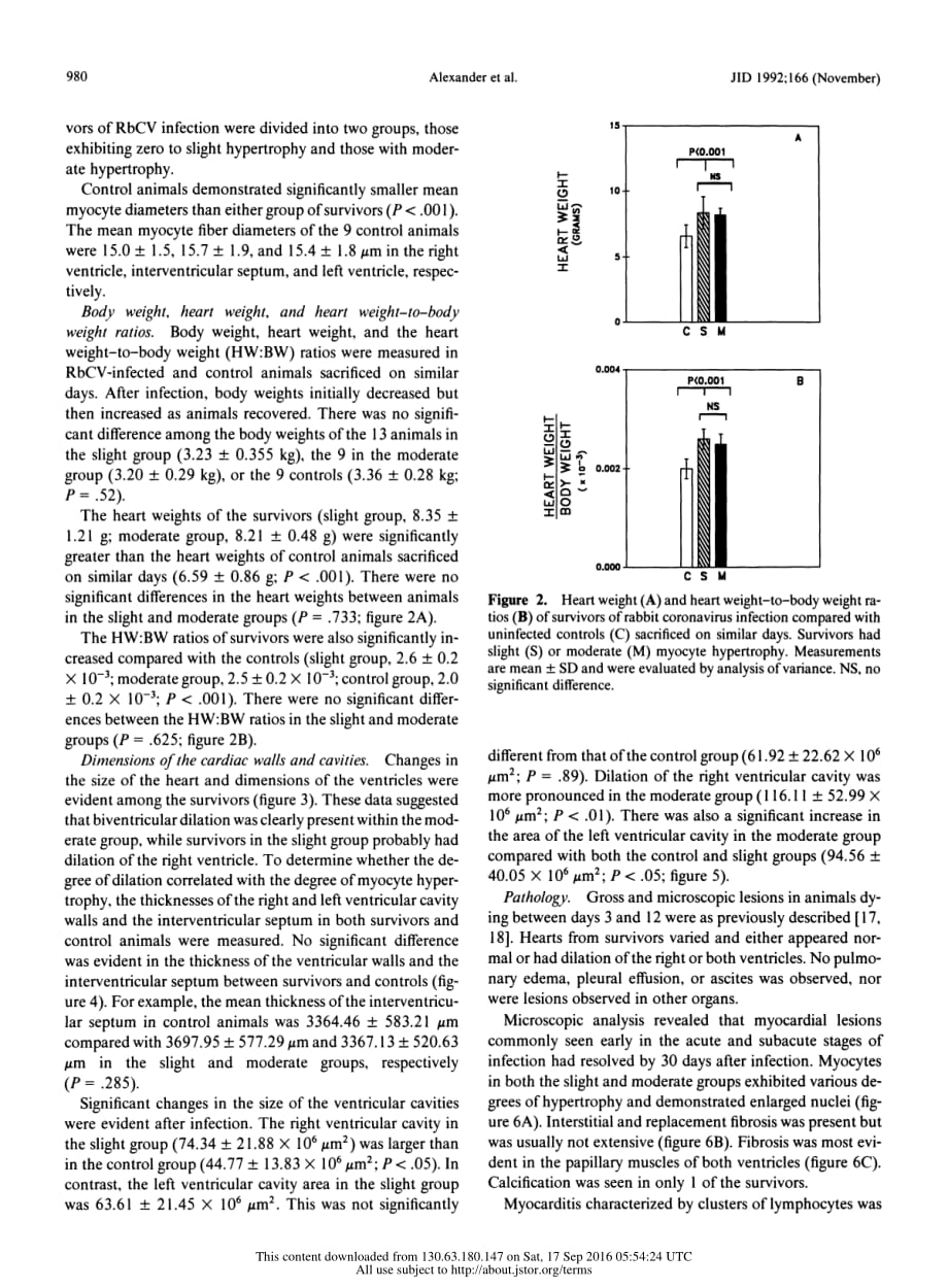 1992 An Experimental Model for Dilated Cardiomyopathy after Rabbit Coronavirus Infection_第4页