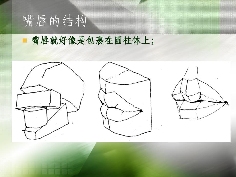 人体头部的五官_嘴巴ppt课件_第4页