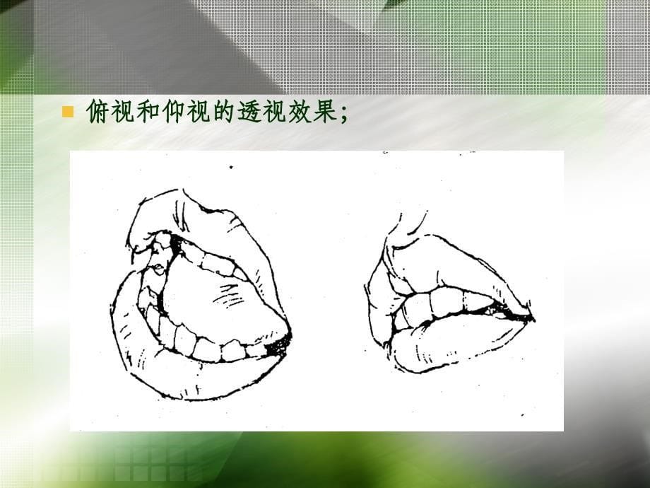 人体头部的五官_嘴巴ppt课件_第5页