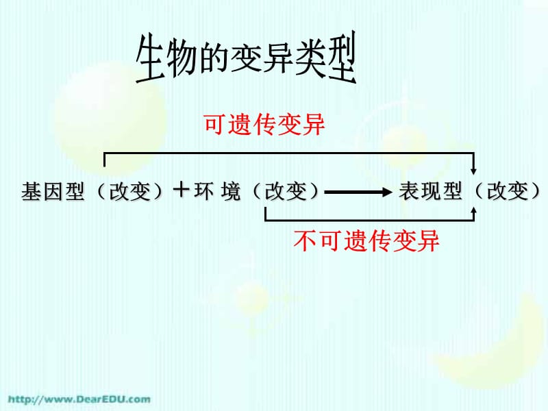 新课标高二生物基因突变和重组_第4页