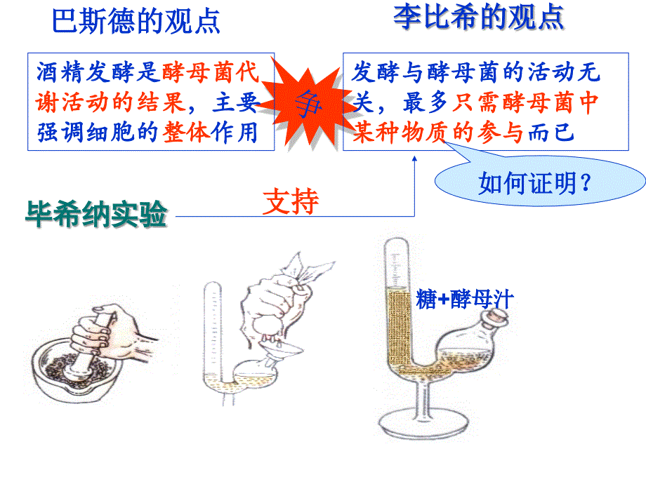 浙江省温州市2010年高中生物新课程“疑难问题解决“专题培训” 酶课件_第4页