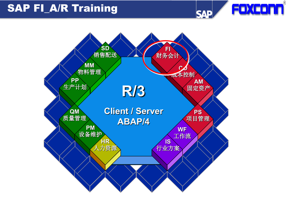 SAP-6_FI_AR精编版_第2页