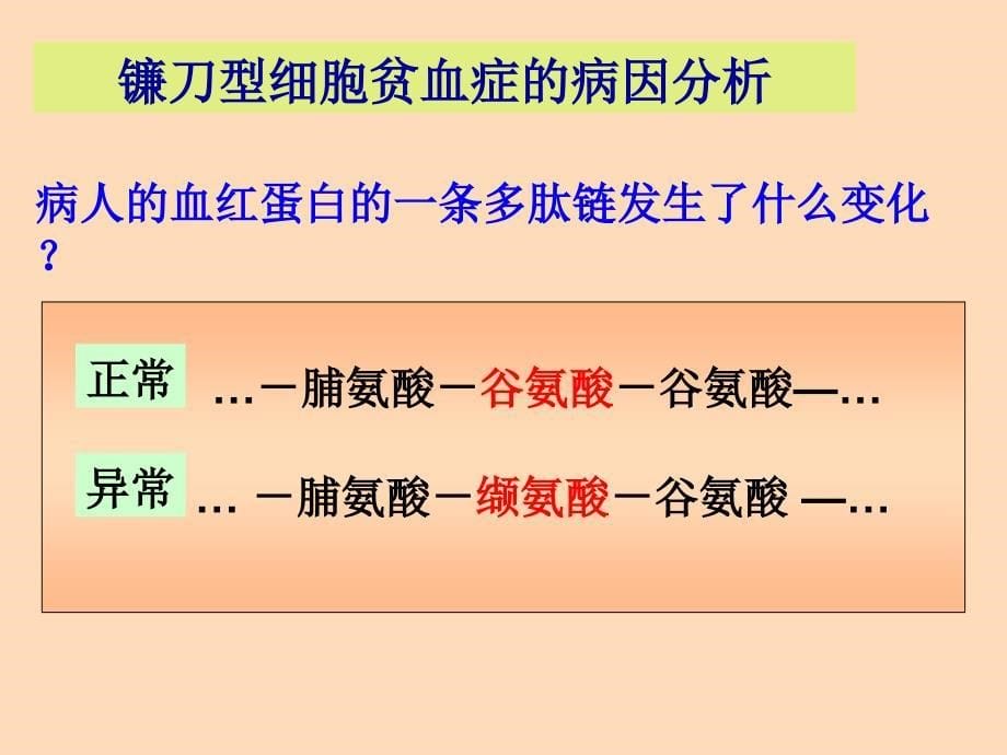 新课标高中生物基因突变和基因重组_第5页