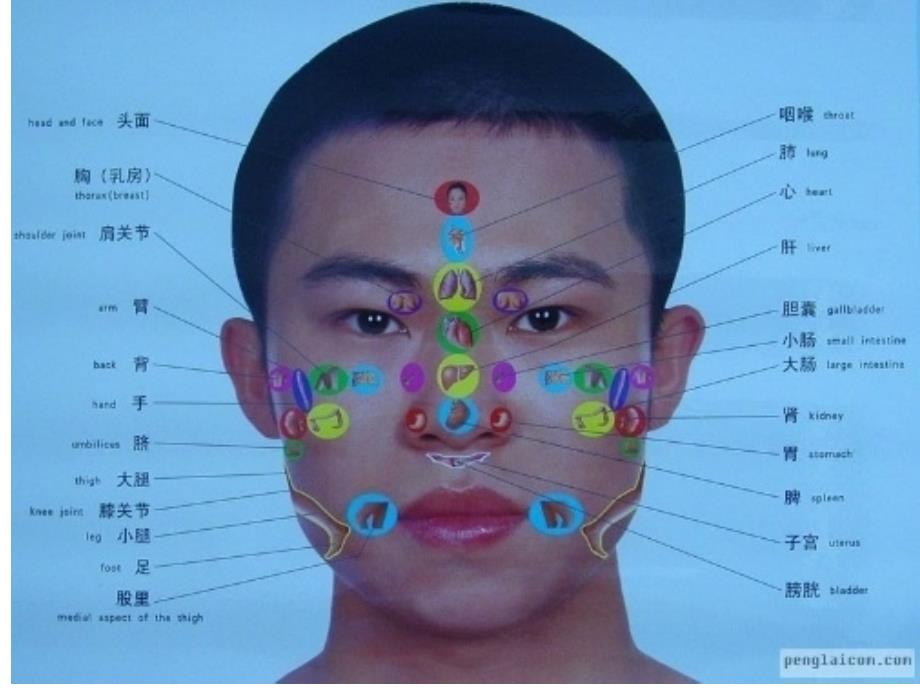 面 诊 图课件_第2页