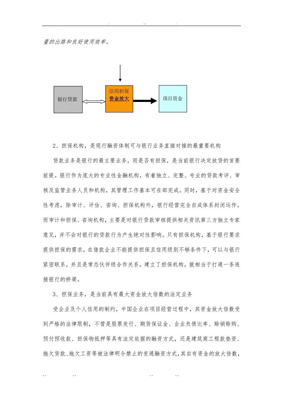 投行型信用担保公司组建运作项目实施建议书_第5页