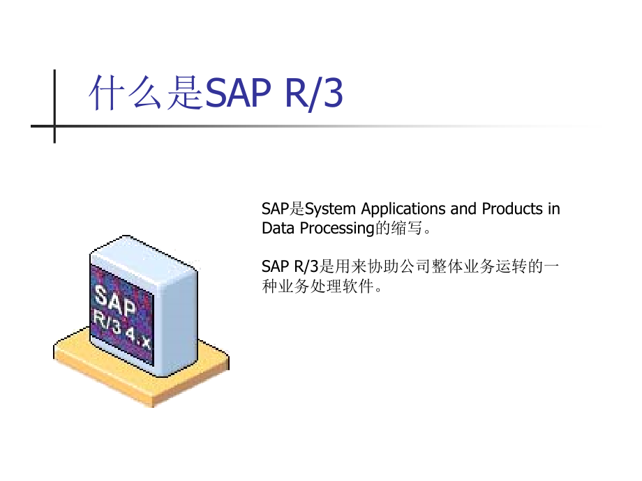 SAP 概览精编版_第3页