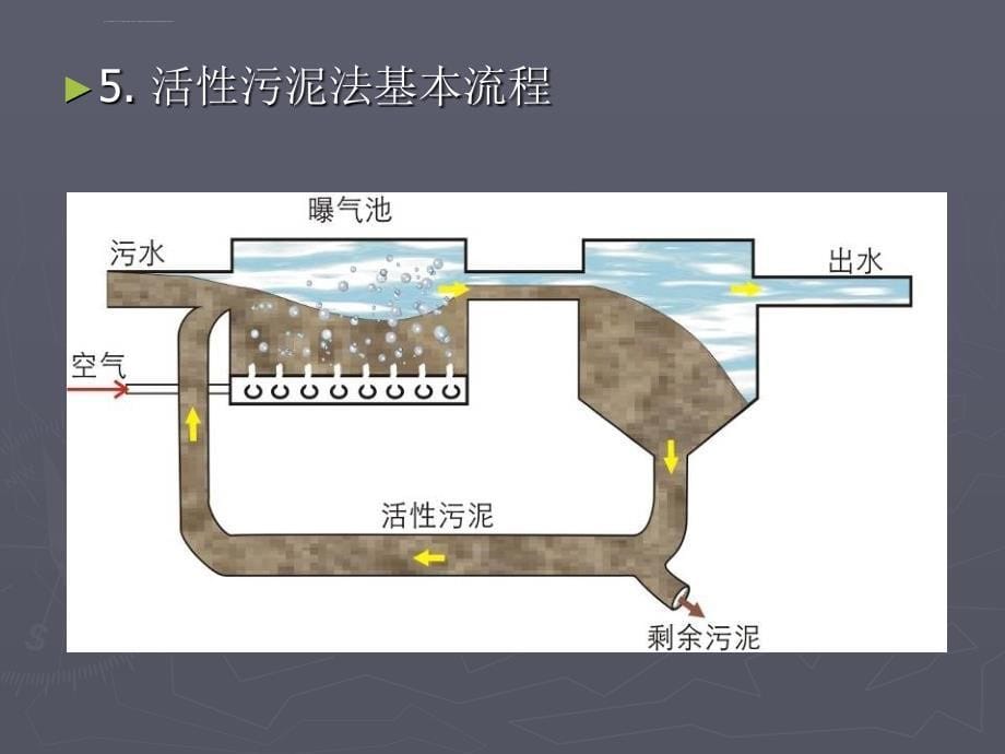 活性污泥法基本原课件_第5页