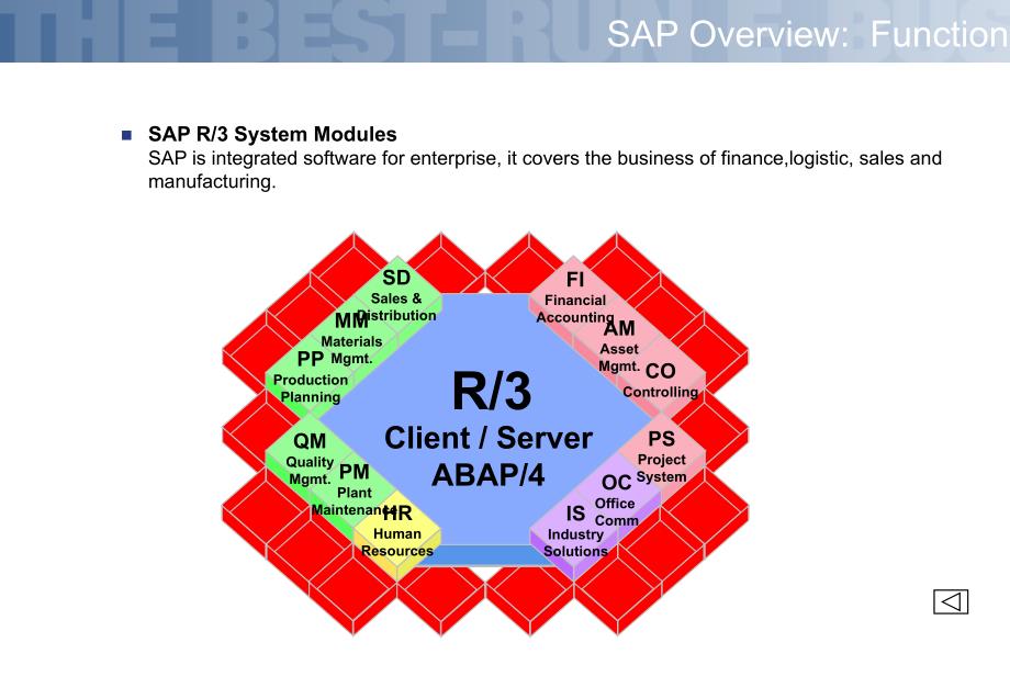 SAP 用户基础培训精编版_第4页