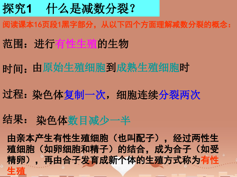 山东省高密市第三中学高中生物 2.1减数分裂与受精作用课件 新人教版必修2_第4页