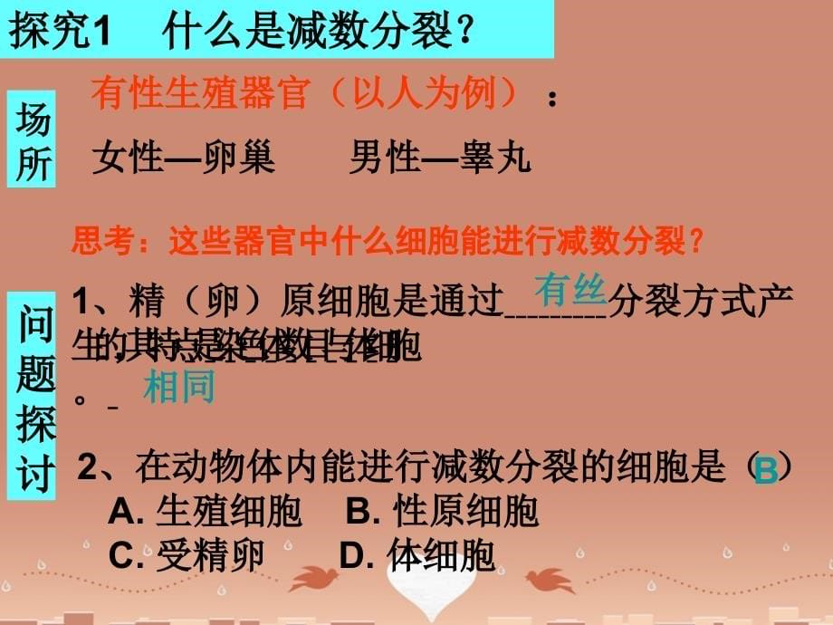 山东省高密市第三中学高中生物 2.1减数分裂与受精作用课件 新人教版必修2_第5页