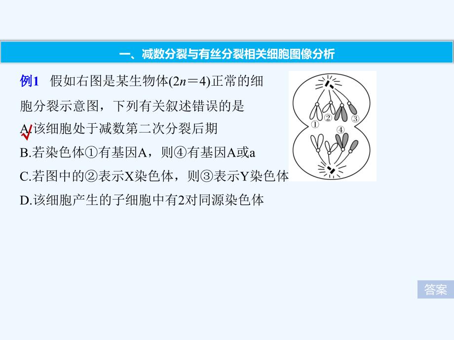 2018-2019学年高考生物大一轮复习 热点题型三 多角度辨析减数分裂和有丝分裂_第2页