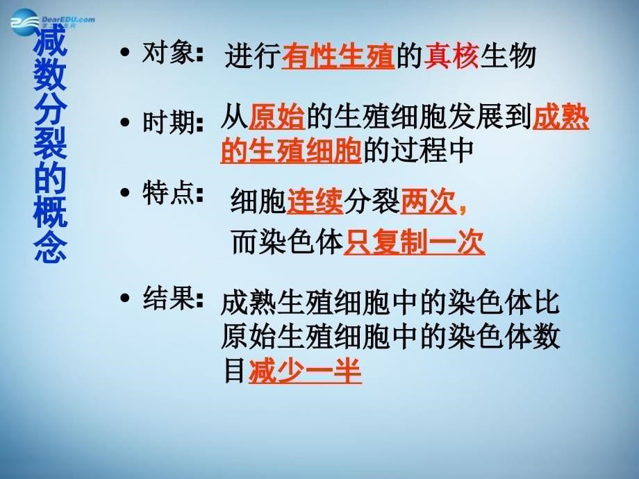 湖南省怀化市溆浦县第三中学高中生物《2.1 减数分裂和受精作用》课件 新人教版必修2_第5页