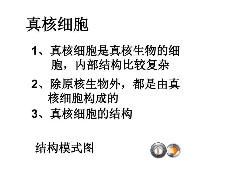 新课标 苏教版高中生物细胞的类型和结构_第5页