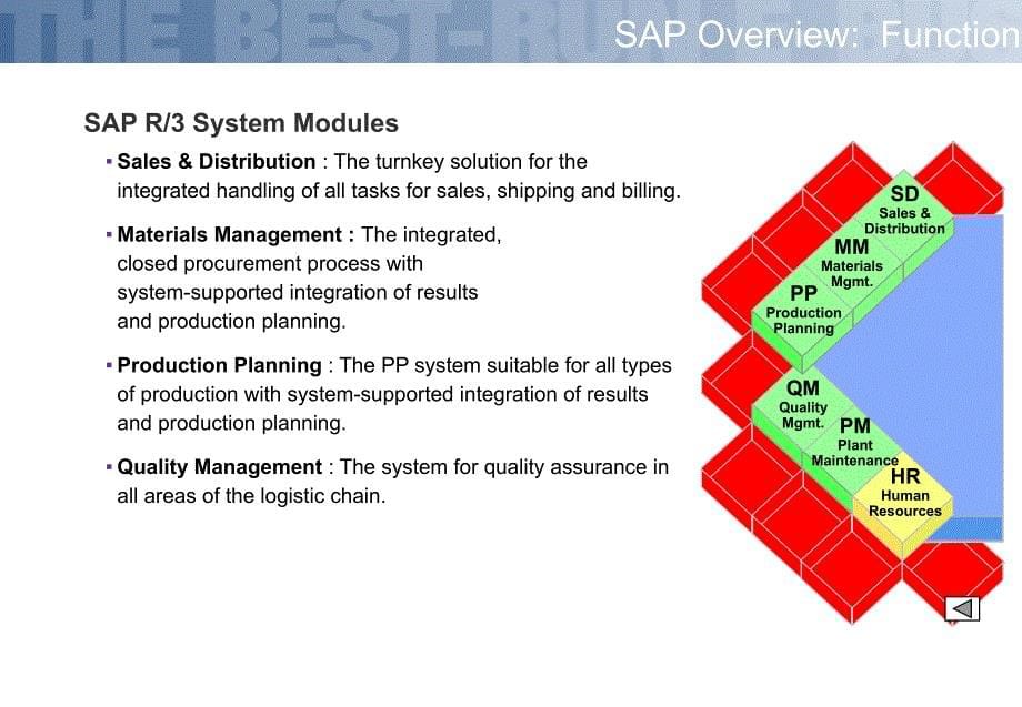 SAP系统实施专案精编版_第5页