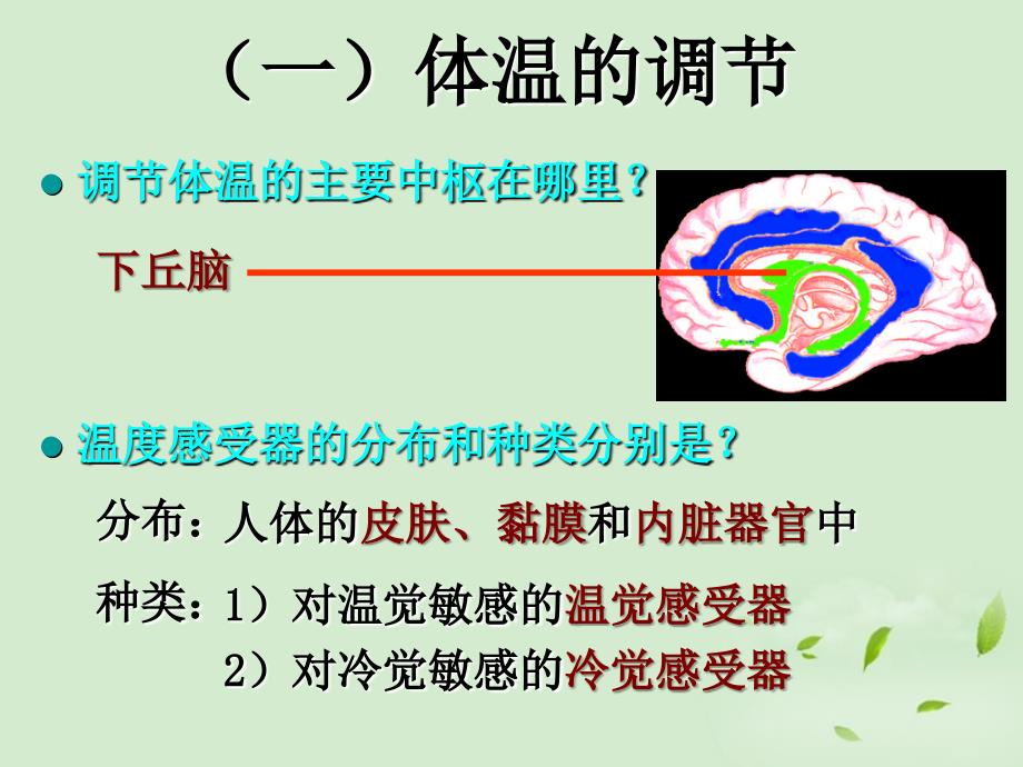 山东省2012高中生物备课资料 神经调节与体液调节的关系课件 新人教版必修3_第3页