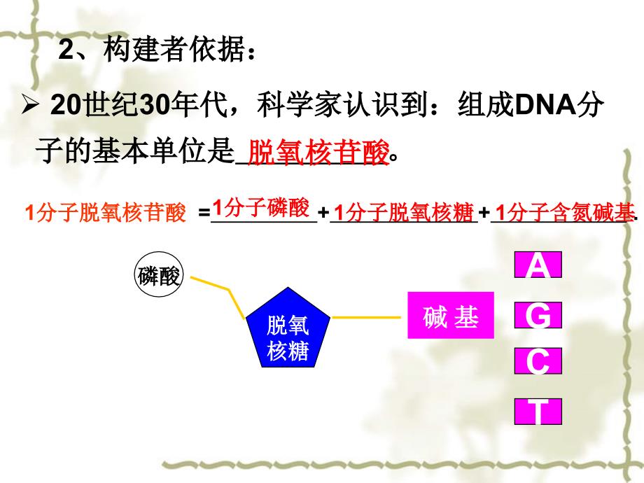 甘肃省白银市会宁县第四中学高中生物 3.2DNA分子的结构课件 新人教版必修2_第4页