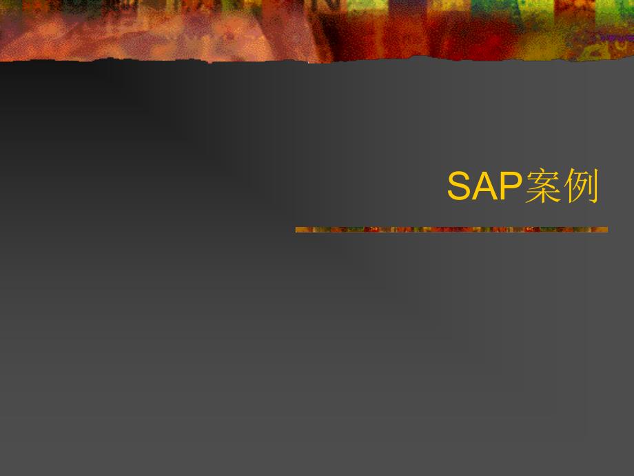 SAP案例精编版_第1页