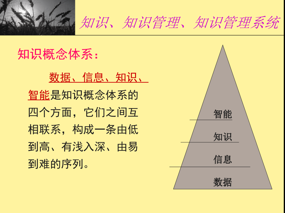 知识管理课件精编版_第4页