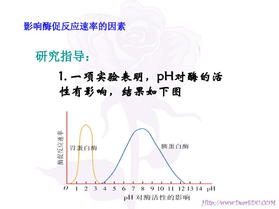 新课标高中生物影响酶促反应速率的因素_第3页