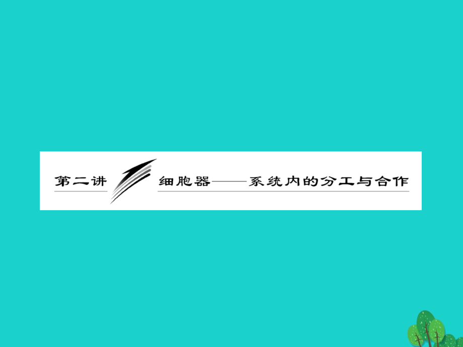 山东省乐陵市高中生物 第三章 细胞的基本结构 3.2 细胞器&ampamp;mdash;&ampamp;mdash;系统内的分工与合作课件 新人教版必修1_第1页