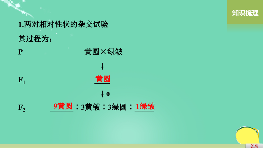 新2017高考生物一轮复习 第六单元 遗传信息的传递规律 第20讲 基因的自由组合规律（Ⅰ）课件 北师大版_第4页