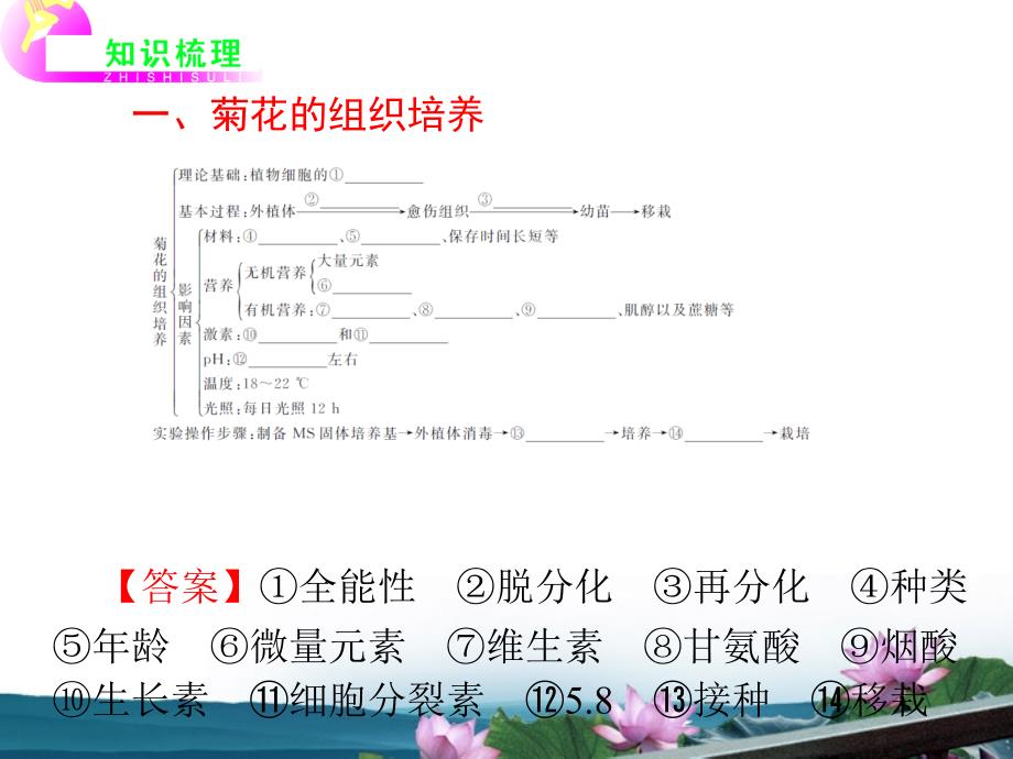 湖南省2012届高考生物复习 生物技术实践 第3讲 植物的组织培养技术课件 新人教版选修1_第3页