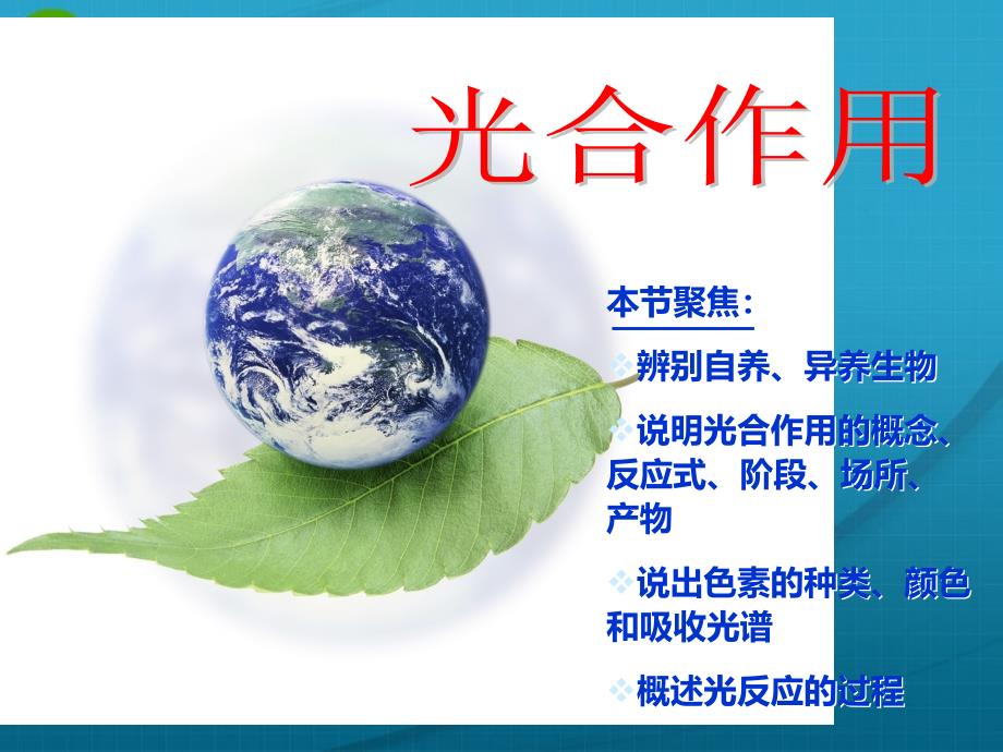 浙江省温州市2010年高中生物新课程“疑难问题解决“专题培训” 利光合作用课件_第2页