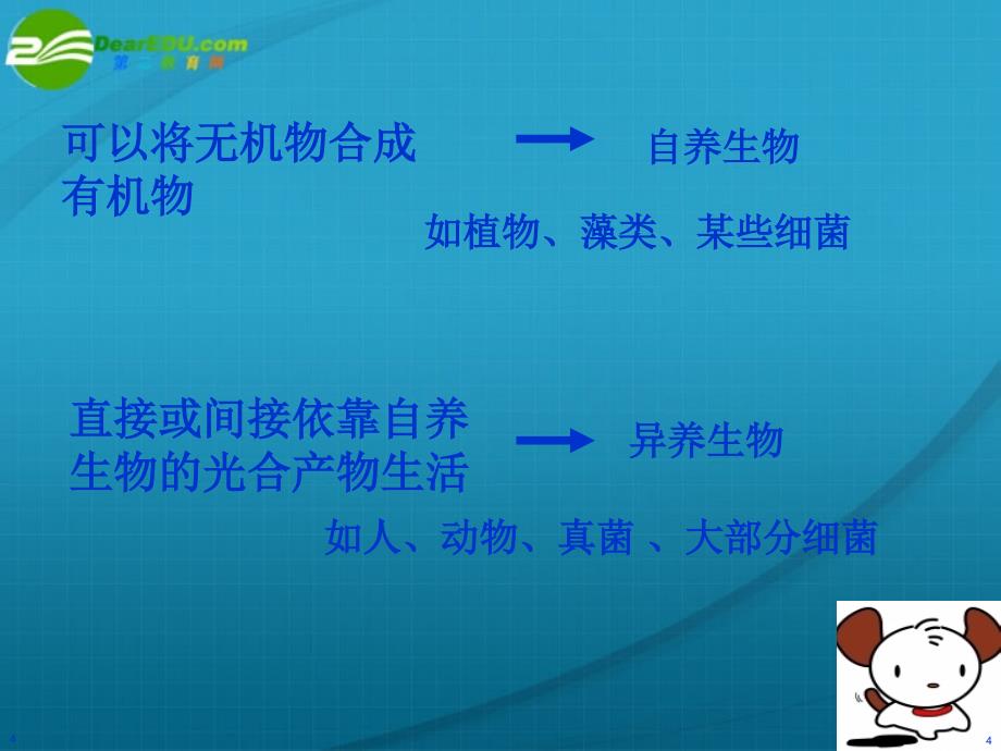 浙江省温州市2010年高中生物新课程“疑难问题解决“专题培训” 利光合作用课件_第4页