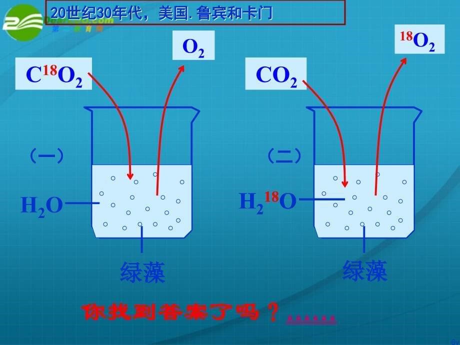 浙江省温州市2010年高中生物新课程“疑难问题解决“专题培训” 利光合作用课件_第5页