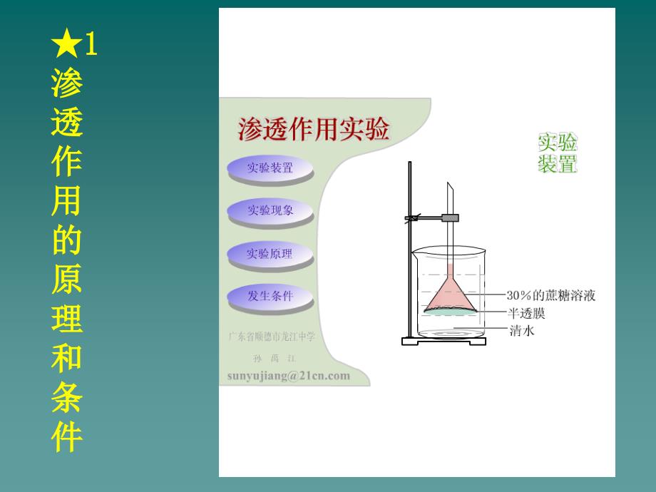 天津2012高中生物复习 第1节 物质跨膜运输的实例1课件 新人教版必修1_第3页