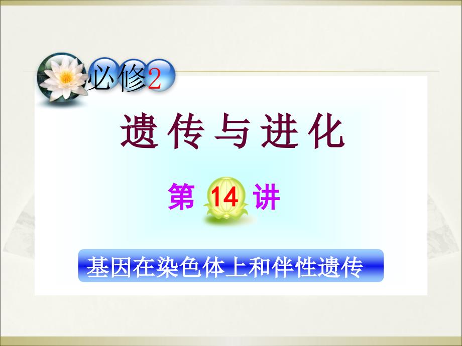 山西省2012届高考生物一轮复习 第14讲 基因在染色体上和伴性遗传课件 新人教版必修2_第1页