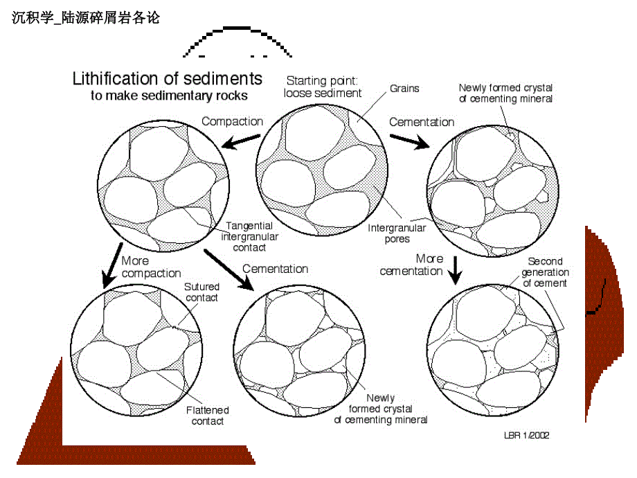 沉积学_陆源碎屑岩各论_沉积后作用课件_第4页