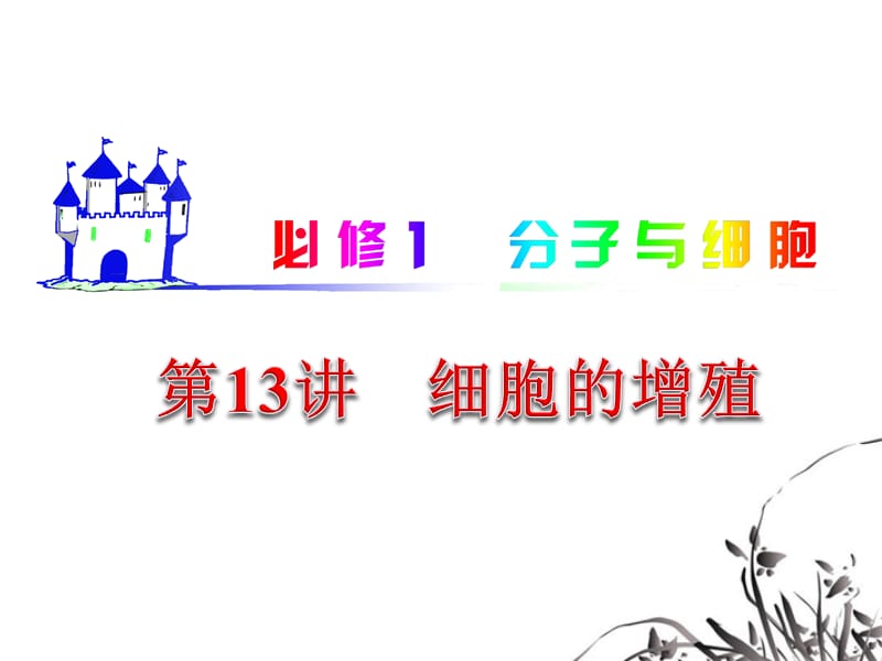 湖南省2012届高考生物复习 分子与细胞 第13讲 细胞的增殖课件 新人教版必修1_第1页