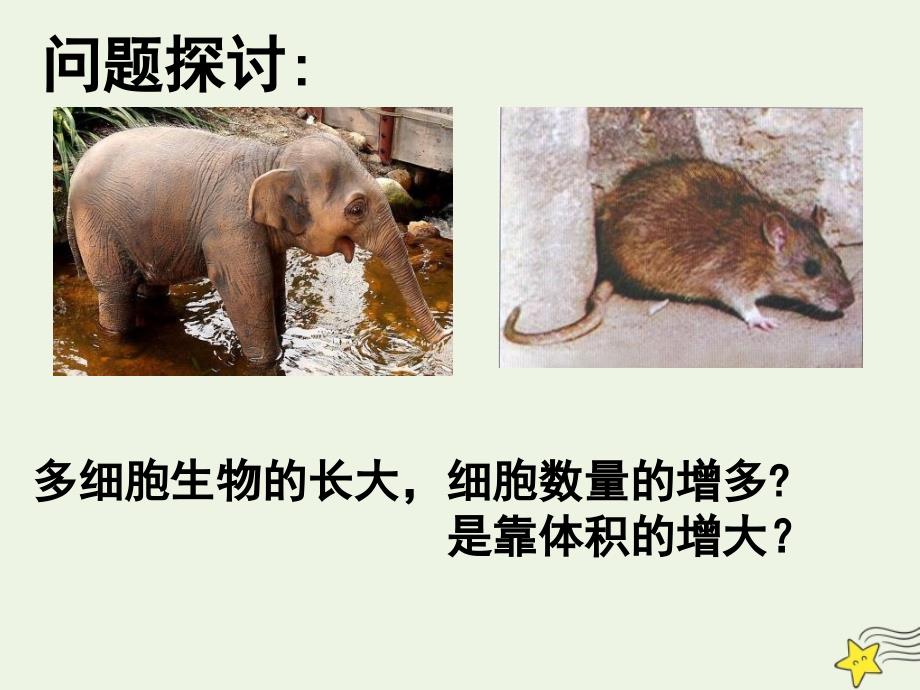 浙江省杭州市塘栖中学高中生物 4.1 细胞增殖1课件 浙教版必修1_第2页