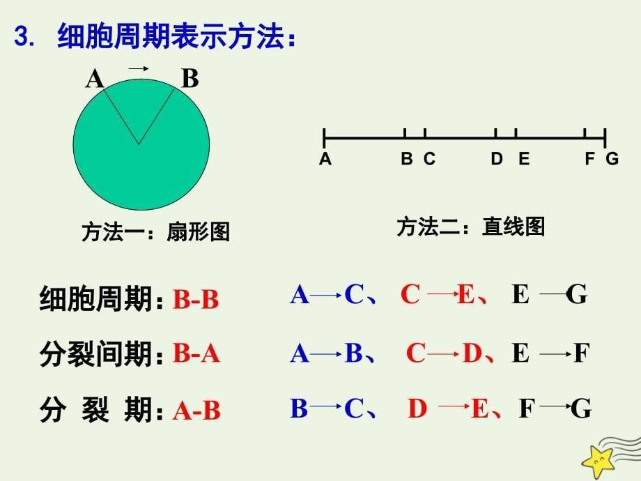 浙江省杭州市塘栖中学高中生物 4.1 细胞增殖1课件 浙教版必修1_第5页