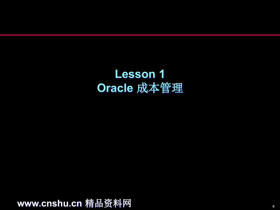 Oracle成本管理的培训资料(PPT 102页)精编版_第4页