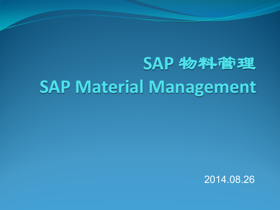 SAP_MM精编版_第1页