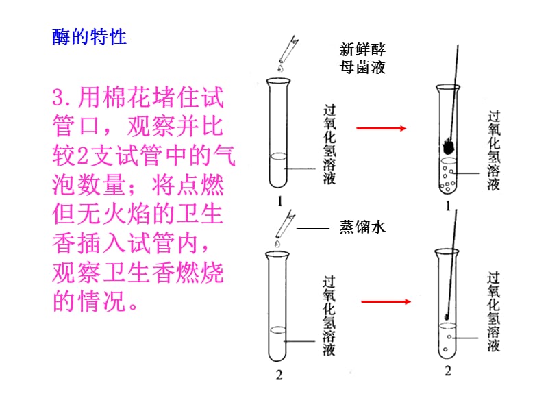 新课标高中生物酶的特性_第4页